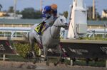 White Abarrio, um espetáculo na Pegasus World Cup (G1)