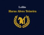 Hoje, às 12h, Leilão do Haras Alves Teixeira